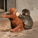 Soutenir un proche atteint de cancer: l&rsquo;art de la juste présence