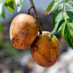 Horoscope du mercredi 11 mars 2026: amour, travail et santé pour tous les signes