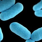 Pourquoi les gens qui vivent près des arbres sont biologiquement moins stressés