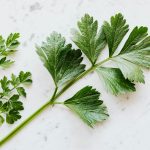 Réseaux sociaux: pourquoi les adolescents les plus connectés ne sont pas toujours les plus malheureux