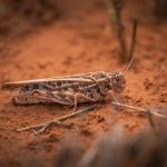 À Azilal, la Caravane Al Hayat prépare une nouvelle mission solidaire dans plusieurs douars