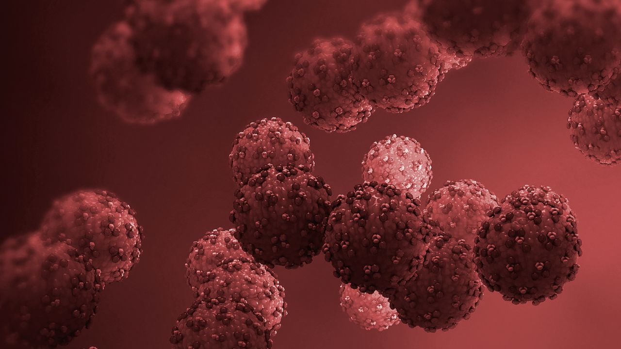 illustration du virus de l’hépatite dans le foie humain montrant l’infection des cellules hépatiques