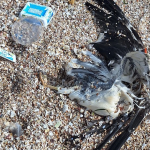 La technique simple utilisée par les coachs pour savoir si vous soulevez le bon poids