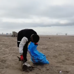 Son chien allait mourir: il crée un vaccin contre le cancer avec ChatGPT