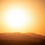 Allergies saisonnières: comment s’en protéger efficacement dès le printemps