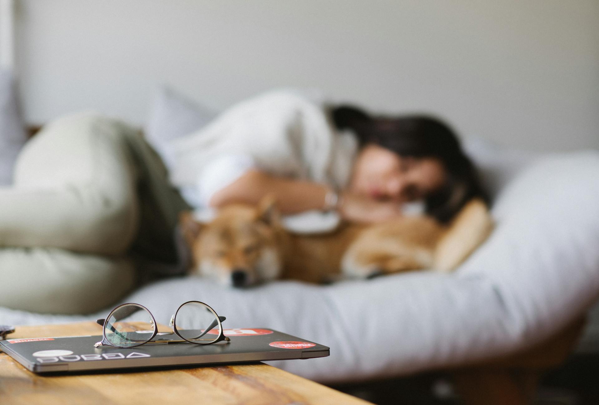 Femme faisant une sieste sur un canapé avec un chien, illustrant les bienfaits du repos en journée