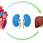 Citation du jour: Laurent Gounelle et le bonheur comme manière d’être