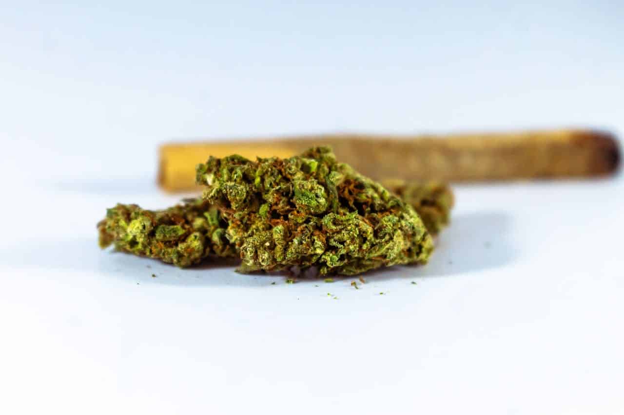 cannabis THC effets sur la mémoire et le cerveau étude scientifique