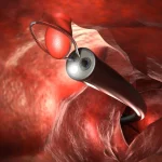 Citation du jour: Xavier Dolan et le courage d’être soi