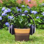 Santé : lancement d&rsquo;une nouvelle plateforme nationale pour traiter les réclamations des patients