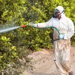 Vous n’avez pas le temps de faire du sport ? 2 minutes par jour pourraient suffire