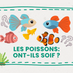 Les 7 citations inspirantes de la semaine sur Mieux Vivre