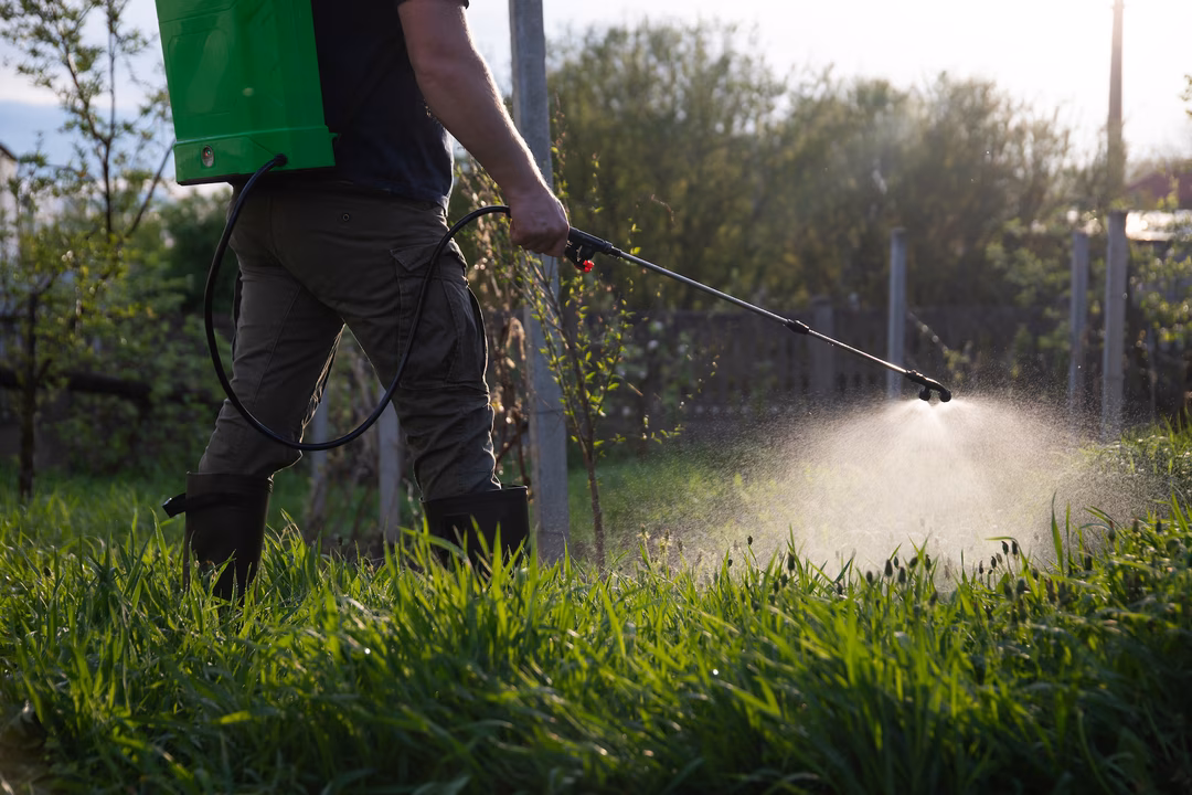 Une étude relie un pesticide "inoffensif" à l’explosion des cancers du côlon chez les jeunes