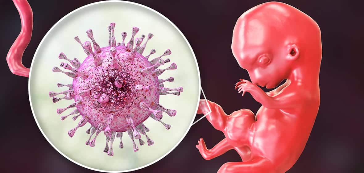 Qu'est-ce que le cytomégalovirus (CMV) ? Découvrez les modes de transmission, les risques réels pendant la grossesse et les réflexes de prévention simples.