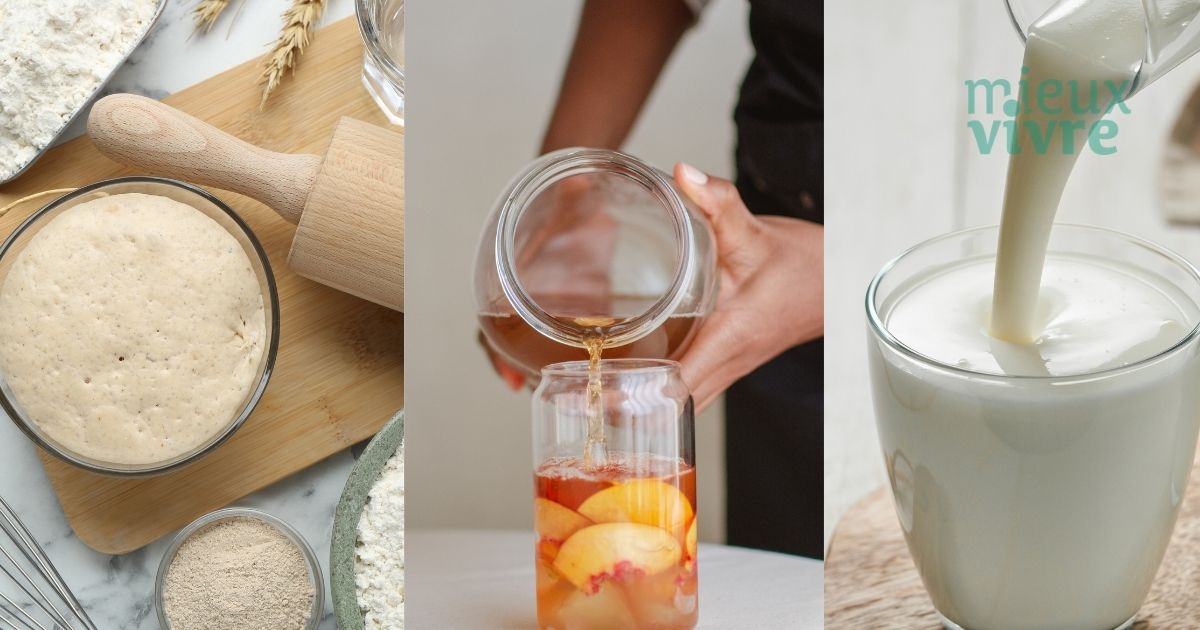 Préparations maison de kombucha, kéfir de fruits et pain au levain naturel pour le microbiote au Maroc